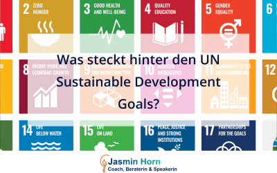 Die UN Sustainable Development Goals