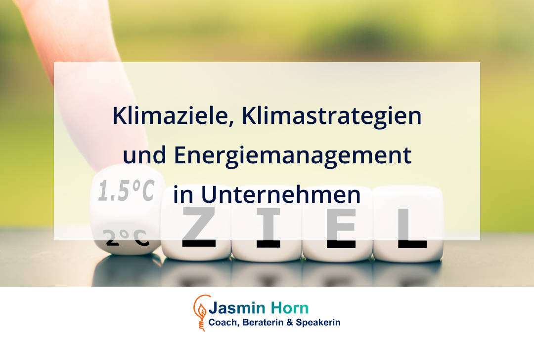 Klimaziele Klimastrategien und Energiemanagement Jasmin Horn Consulting